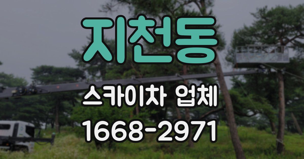 지천동 스카이차 업체
