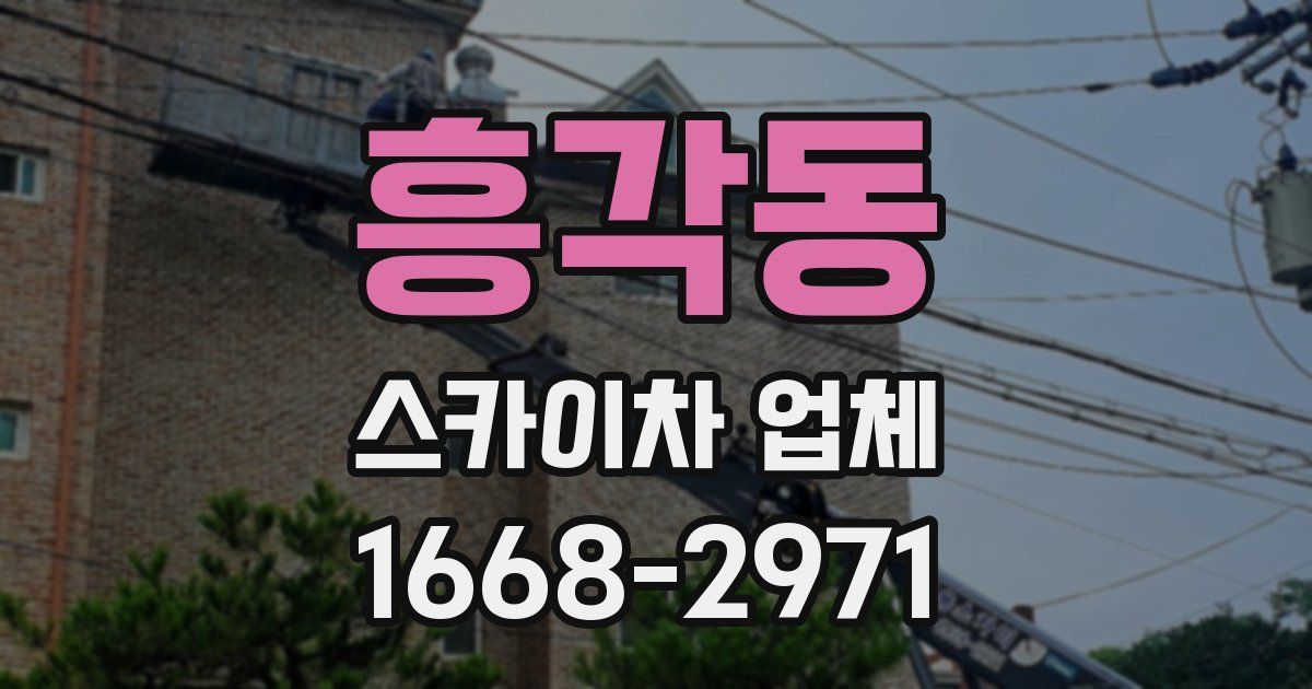 흥각동 스카이차 업체
