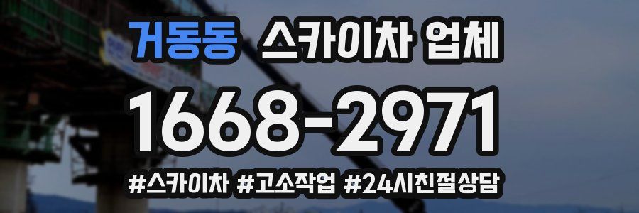 거동동 스카이차 업체