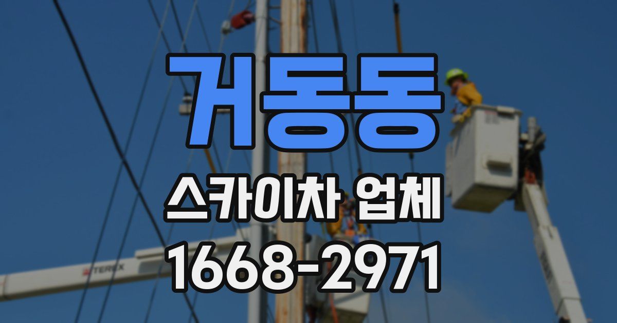 거동동 스카이차 업체