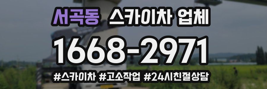 서곡동 스카이차 업체
