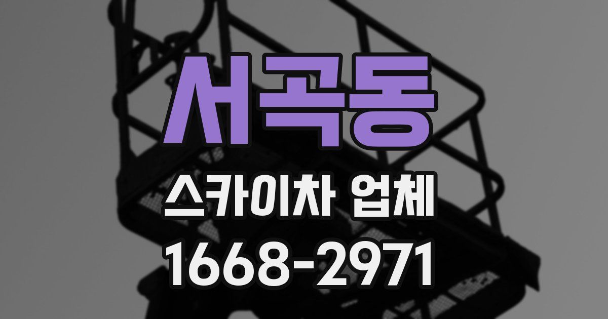 서곡동 스카이차 업체