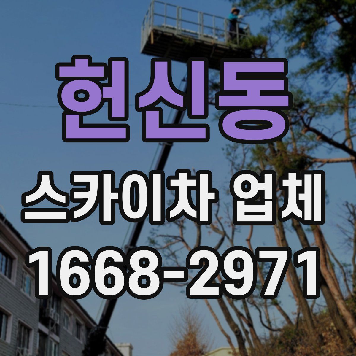 헌신동 스카이차 업체