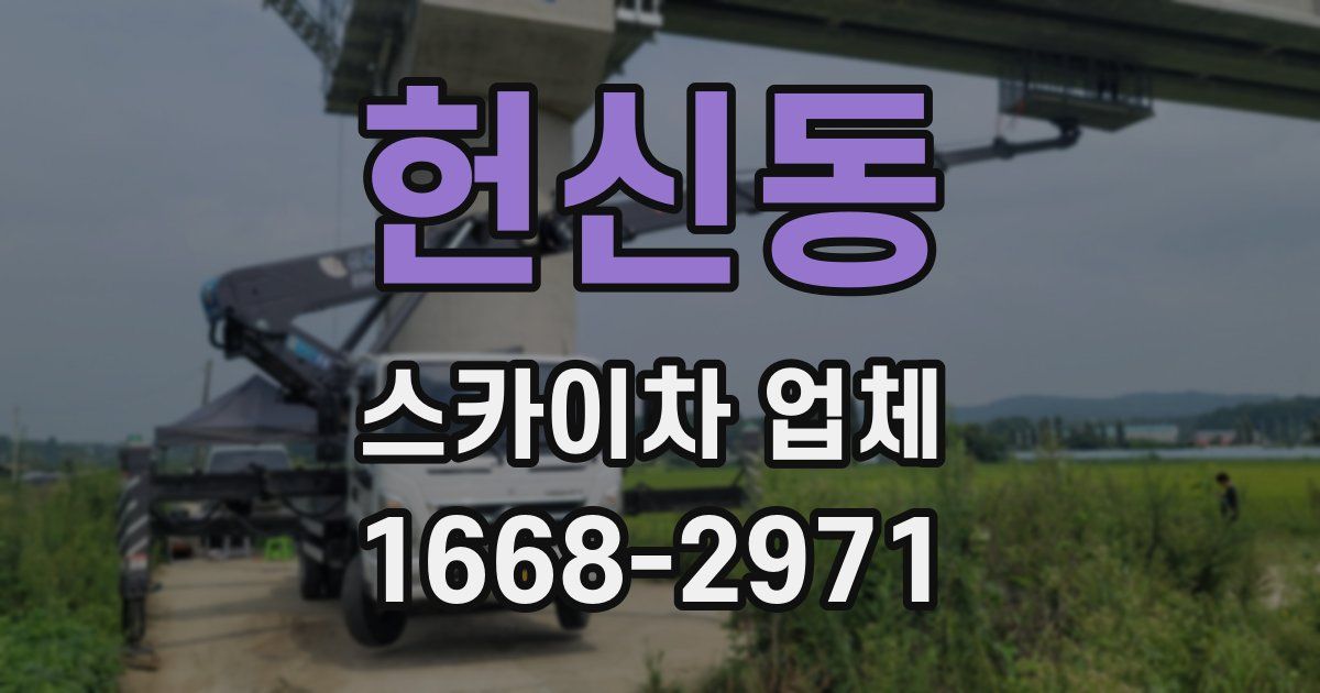 헌신동 스카이차 업체