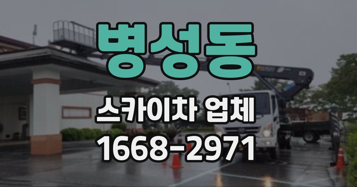 병성동 스카이차 업체