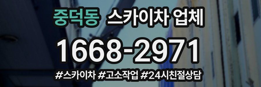 중덕동 스카이차 업체