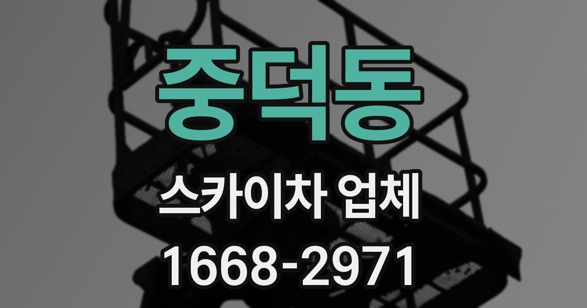 중덕동 스카이차 업체