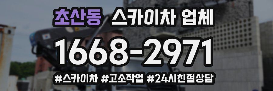 초산동 스카이차 업체