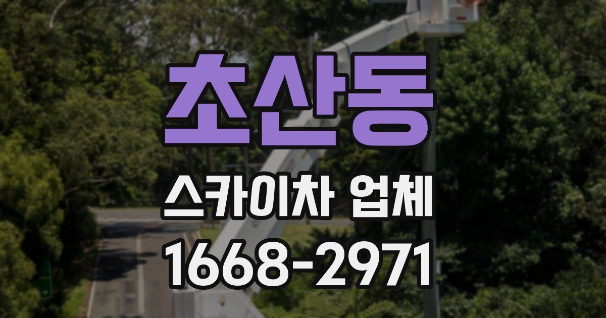초산동 스카이차 업체