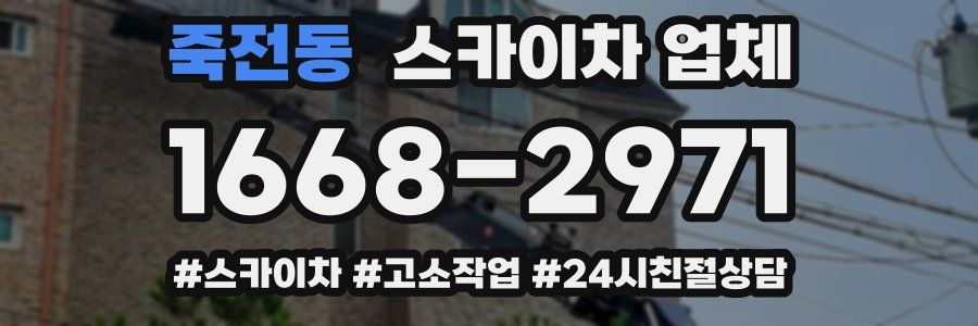 죽전동 스카이차 업체