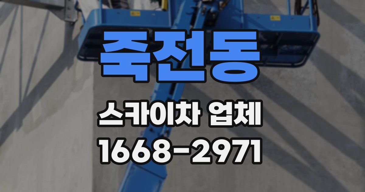 죽전동 스카이차 업체
