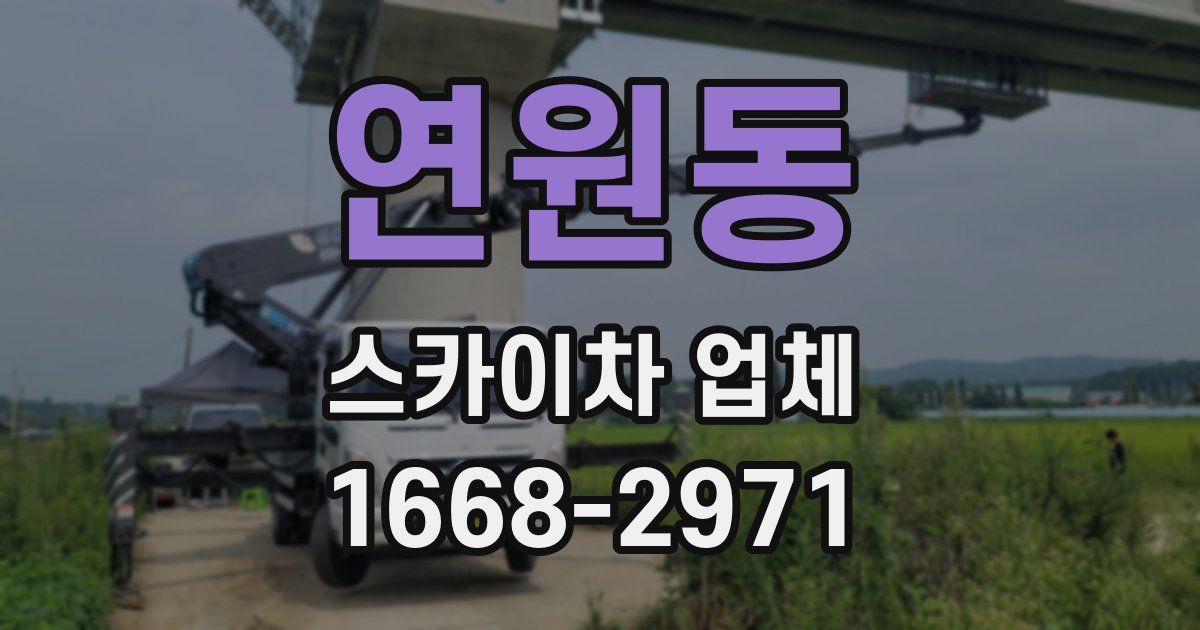 연원동 스카이차 업체