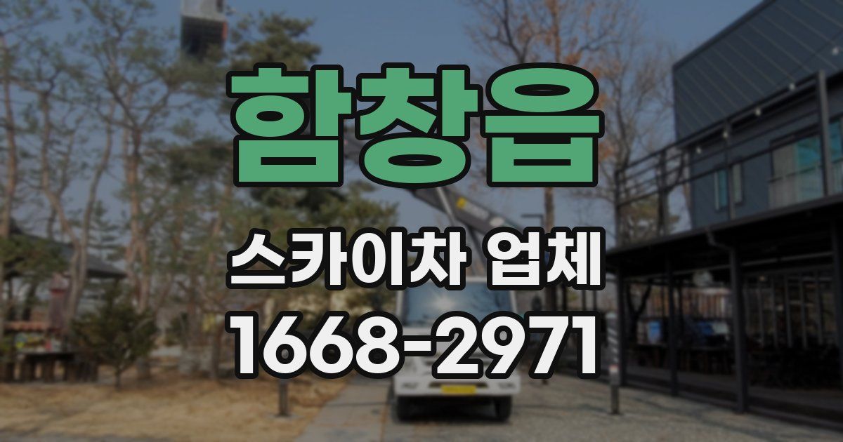 함창읍 스카이차 업체