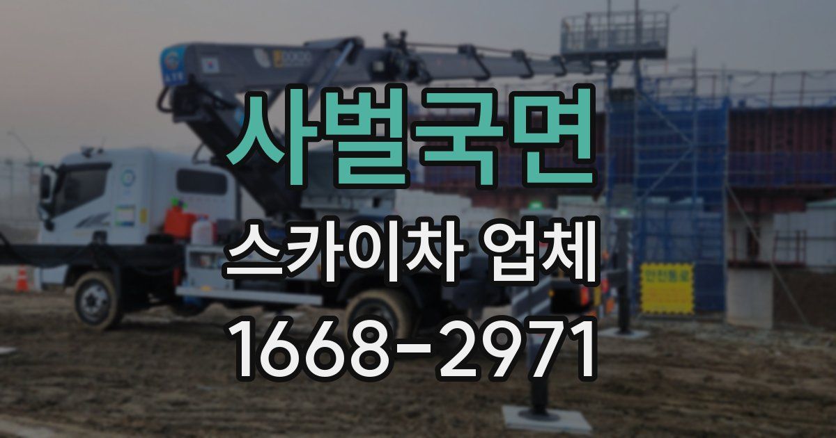 사벌국면 스카이차 업체