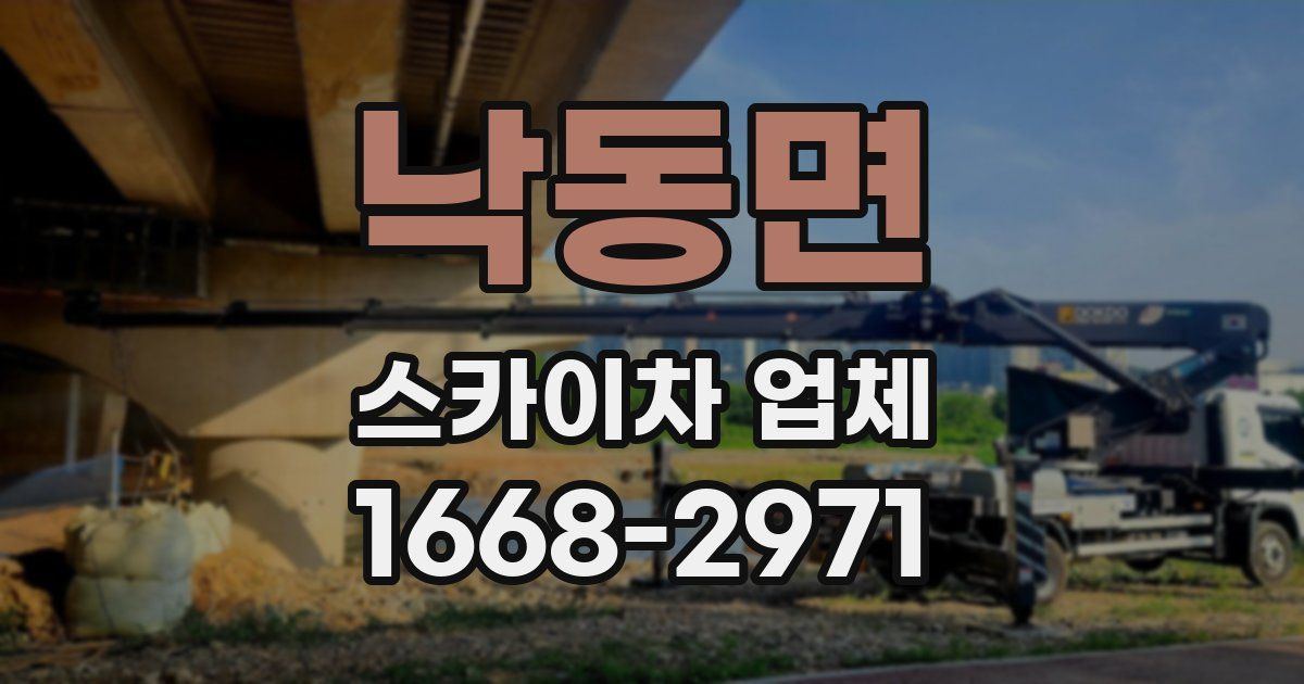 낙동면 스카이차 업체
