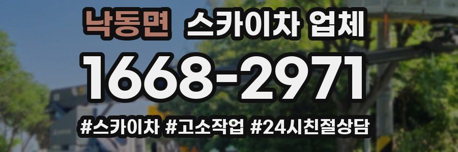 낙동면 스카이차 업체