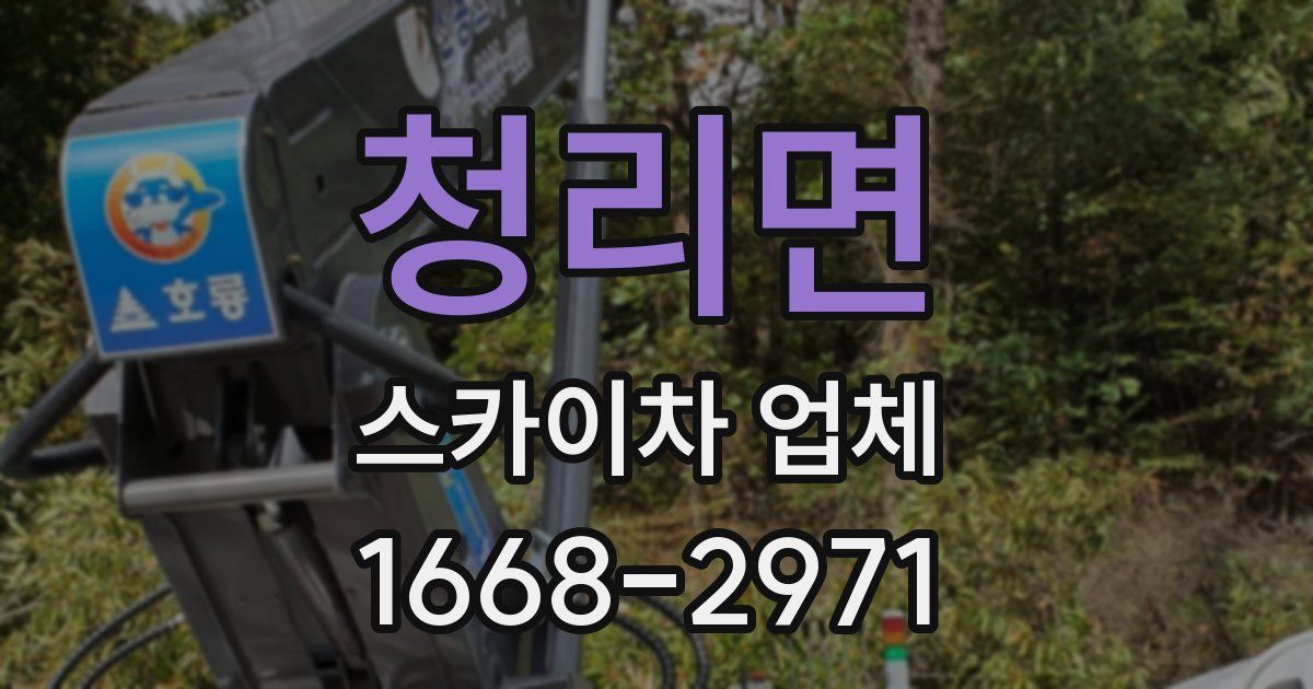 청리면 스카이차 업체