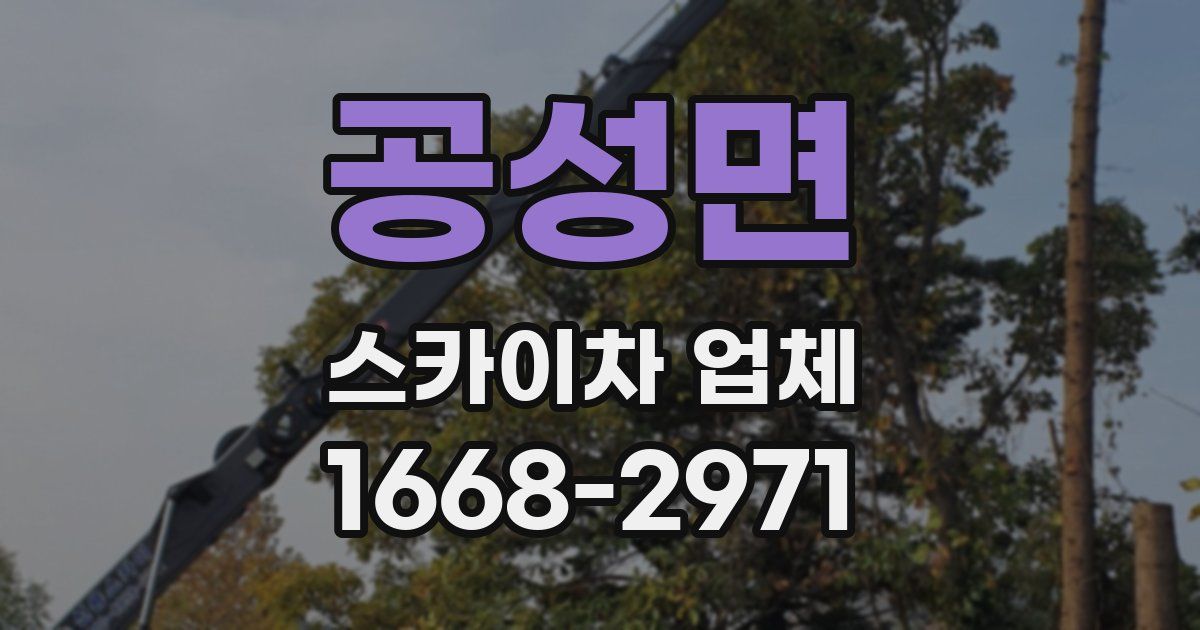 공성면 스카이차 업체