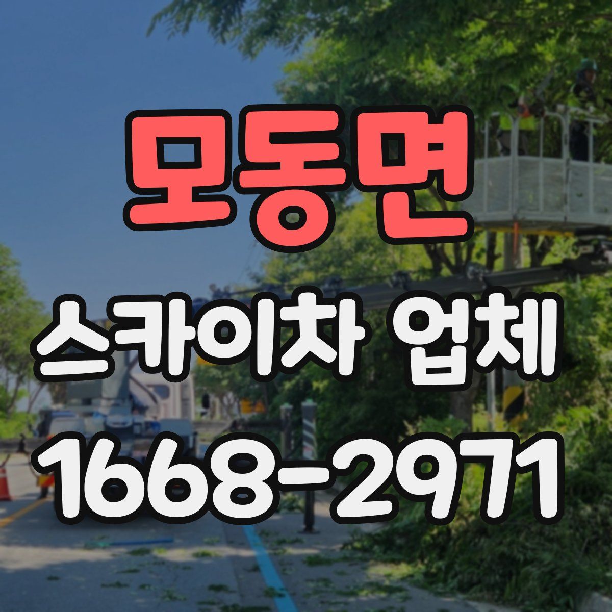 모동면 스카이차 업체