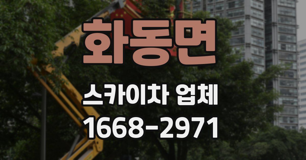 화동면 스카이차 업체
