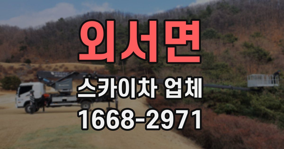 외서면 스카이차 업체