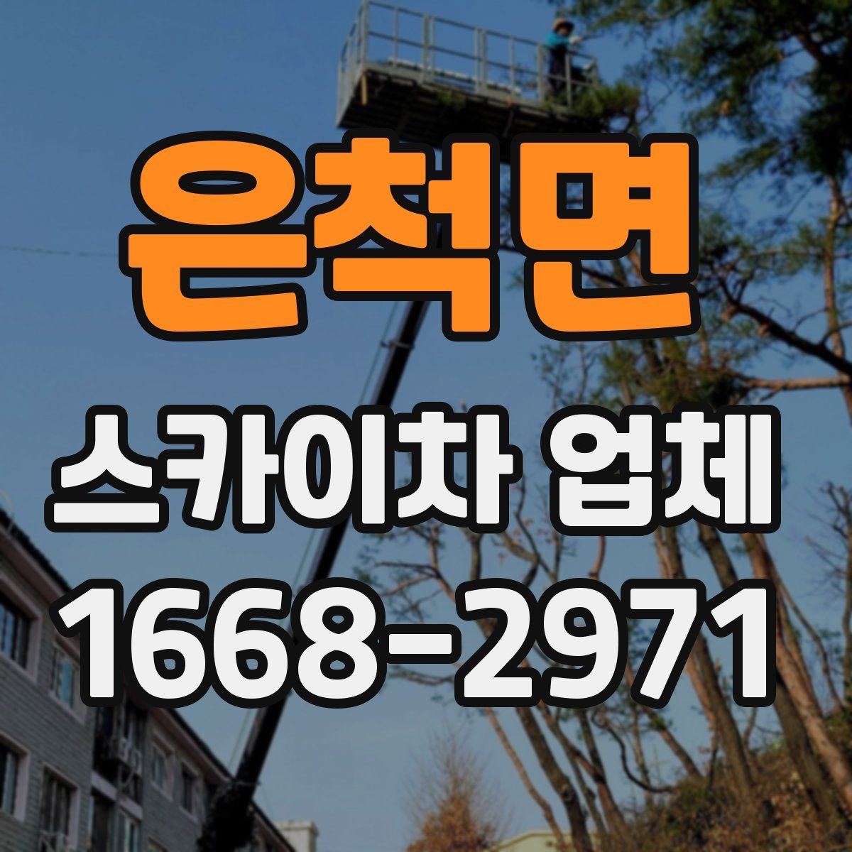 은척면 스카이차 업체