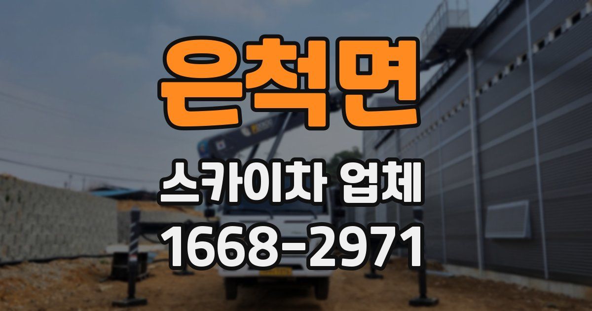 은척면 스카이차 업체