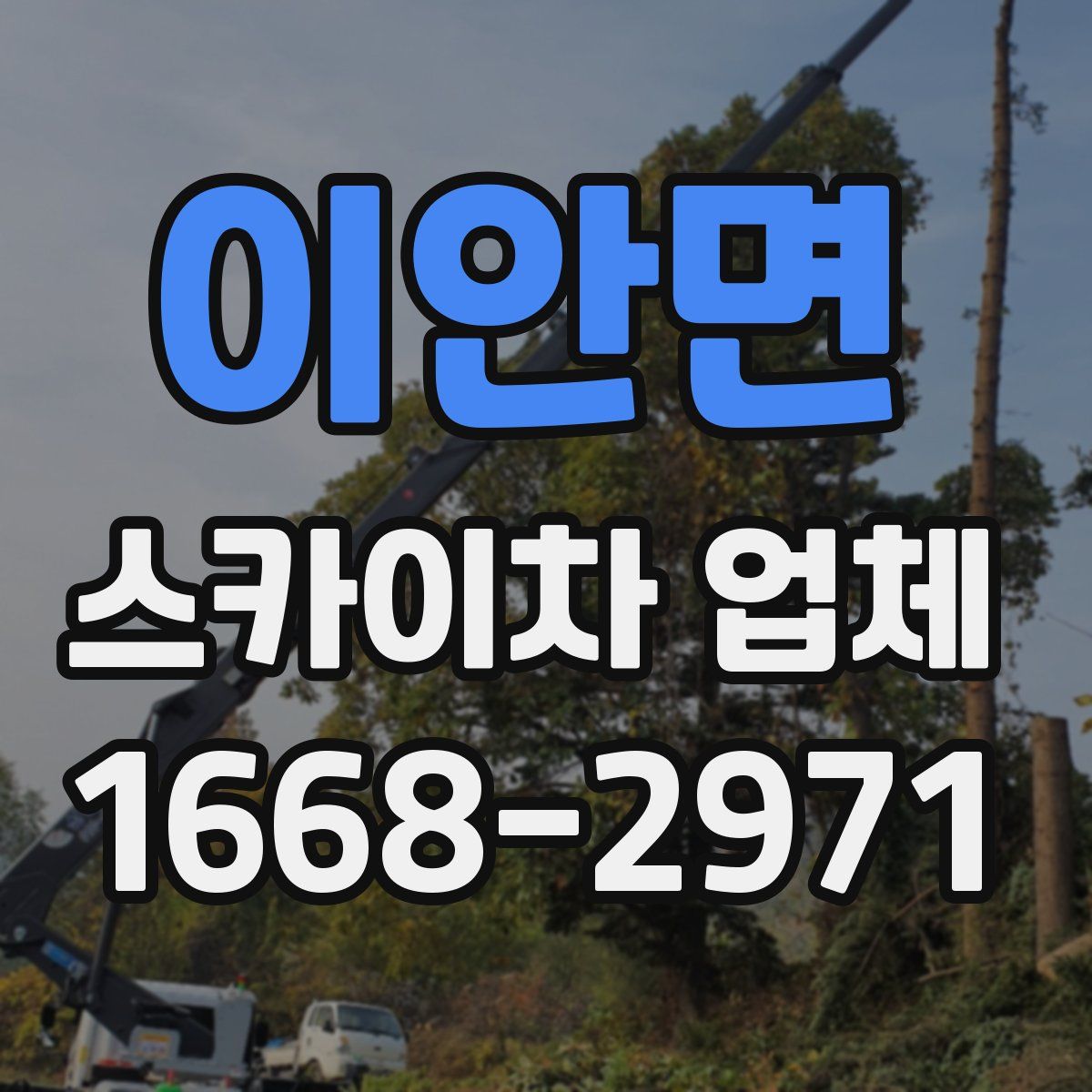 이안면 스카이차 업체