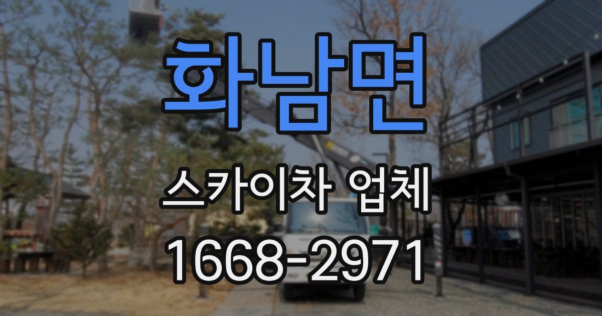 화남면 스카이차 업체