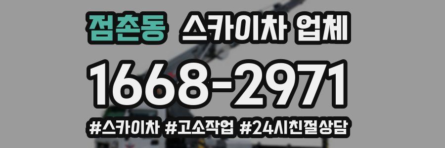 점촌동 스카이차 업체