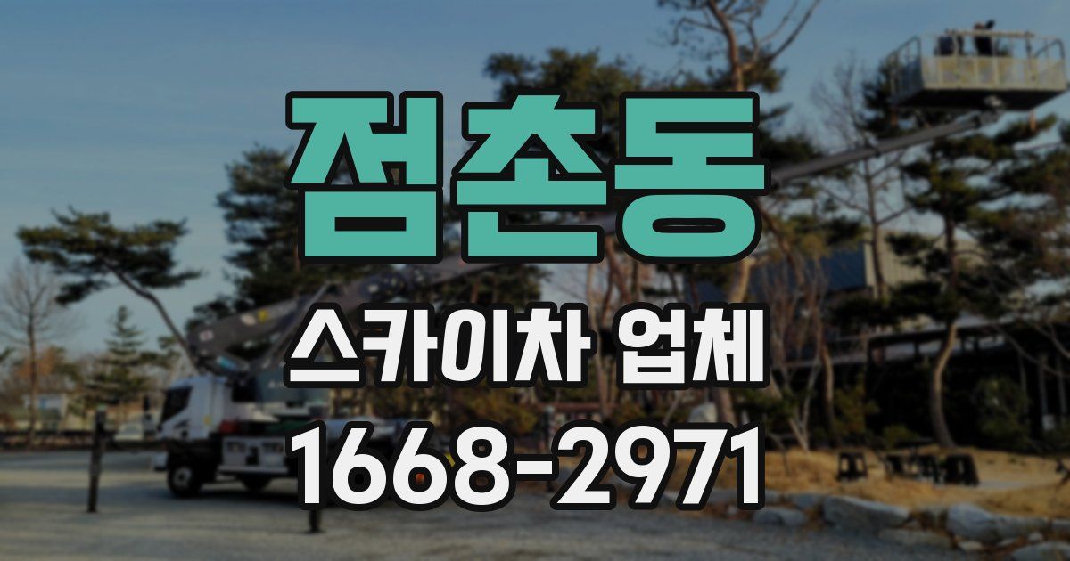 점촌동 스카이차 업체