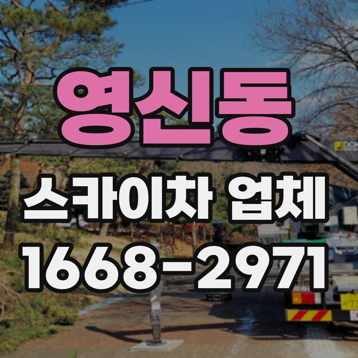 영신동 스카이차 업체
