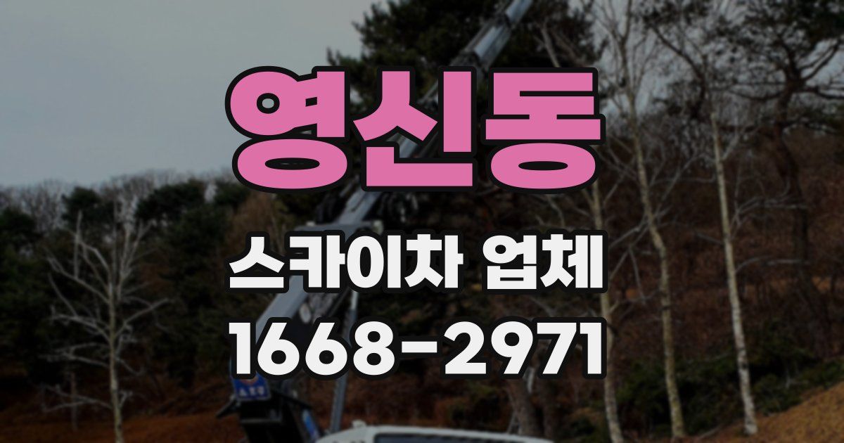 영신동 스카이차 업체