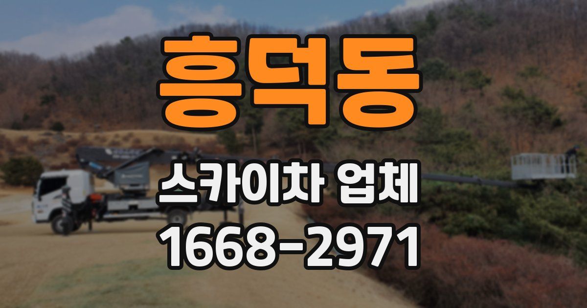 흥덕동 스카이차 업체