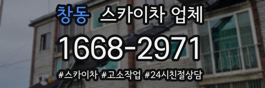 창동 스카이차 업체