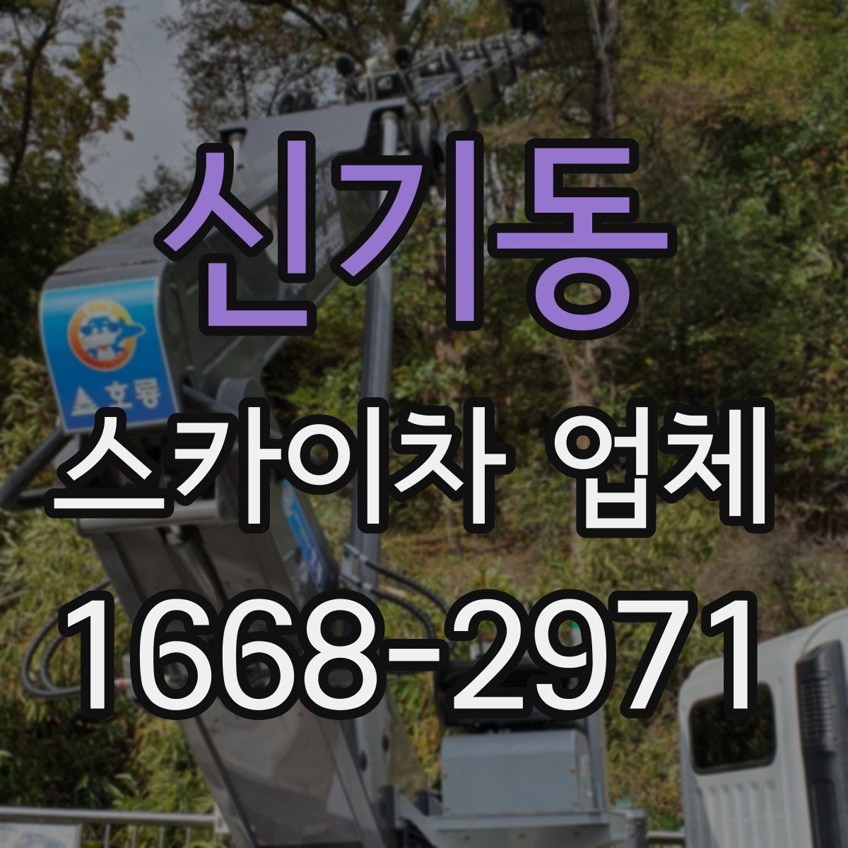 신기동 스카이차 업체
