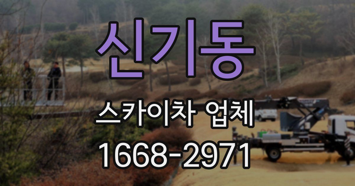신기동 스카이차 업체