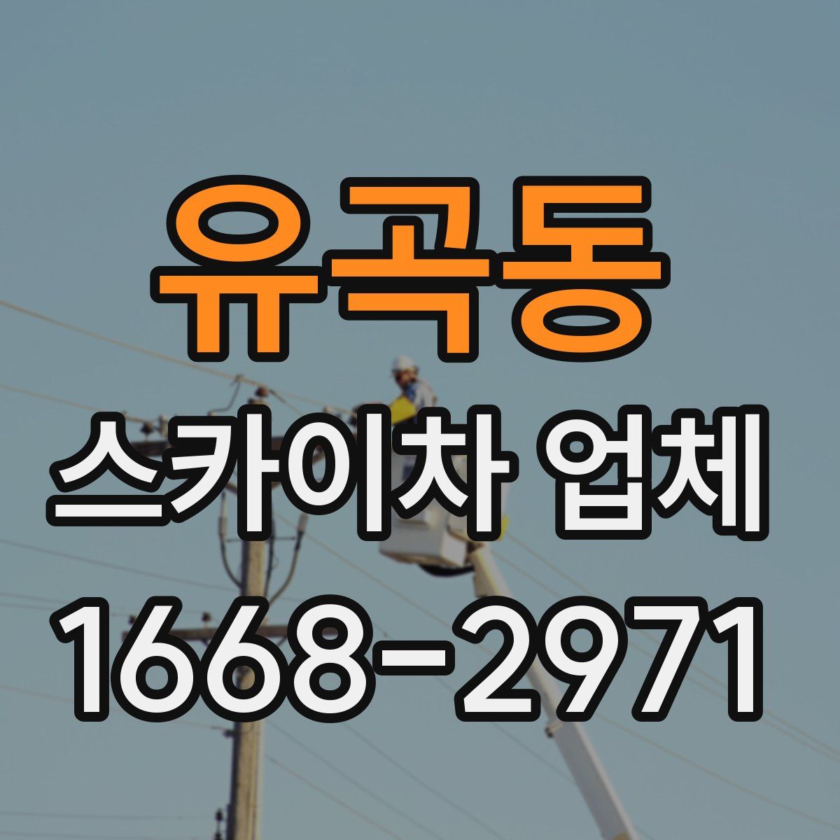 유곡동 스카이차 업체