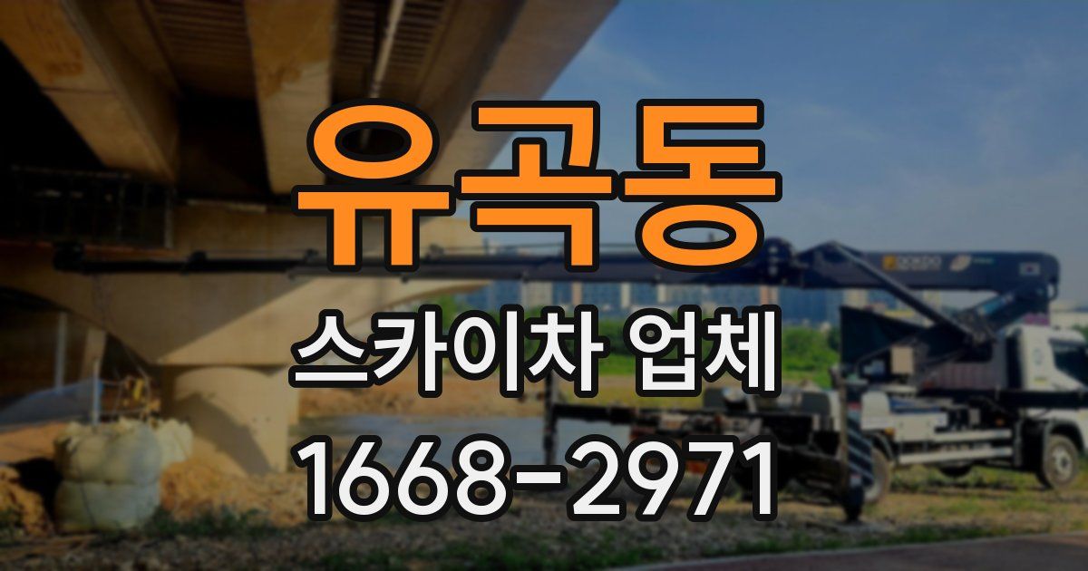 유곡동 스카이차 업체