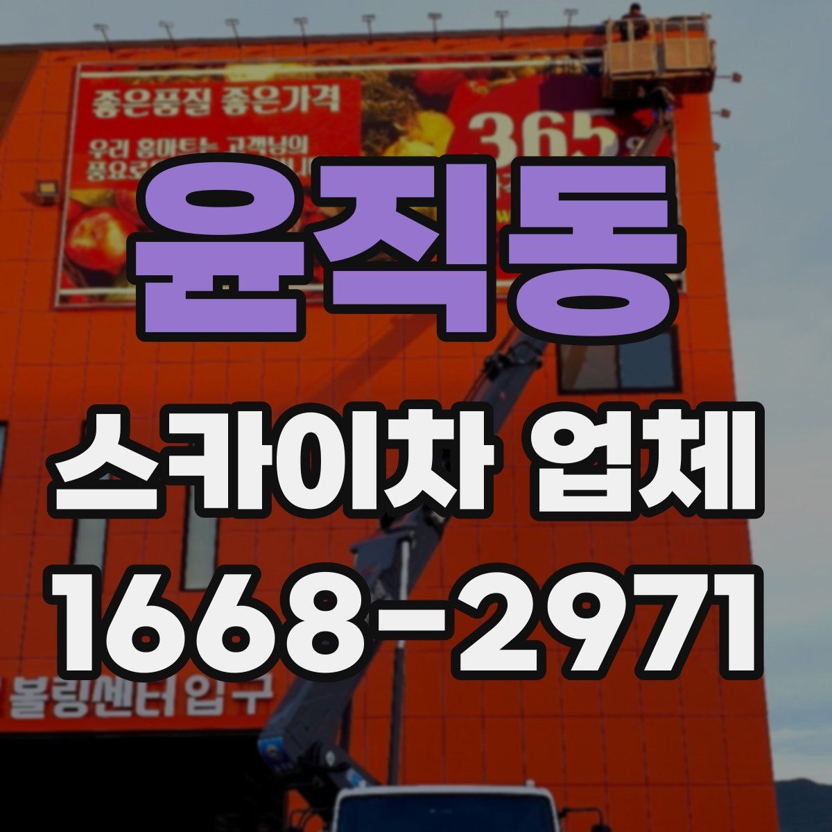 윤직동 스카이차 업체