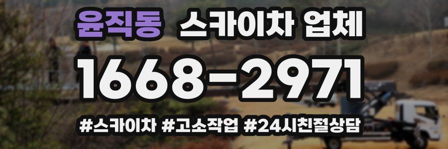 윤직동 스카이차 업체
