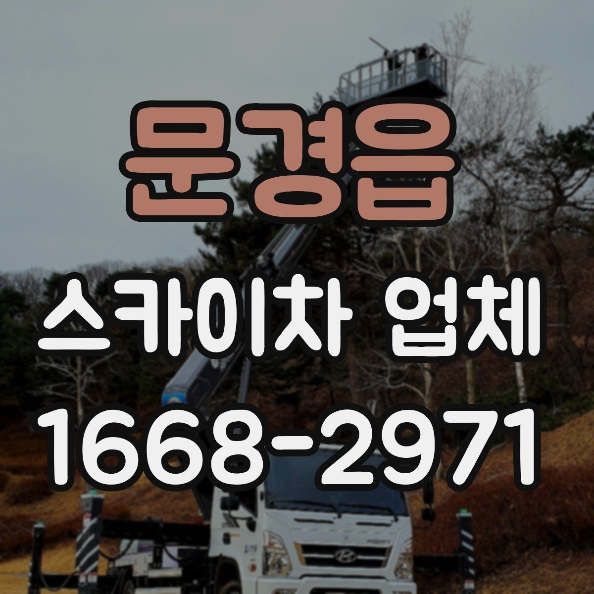 문경읍 스카이차 업체
