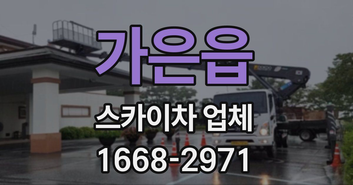 가은읍 스카이차 업체
