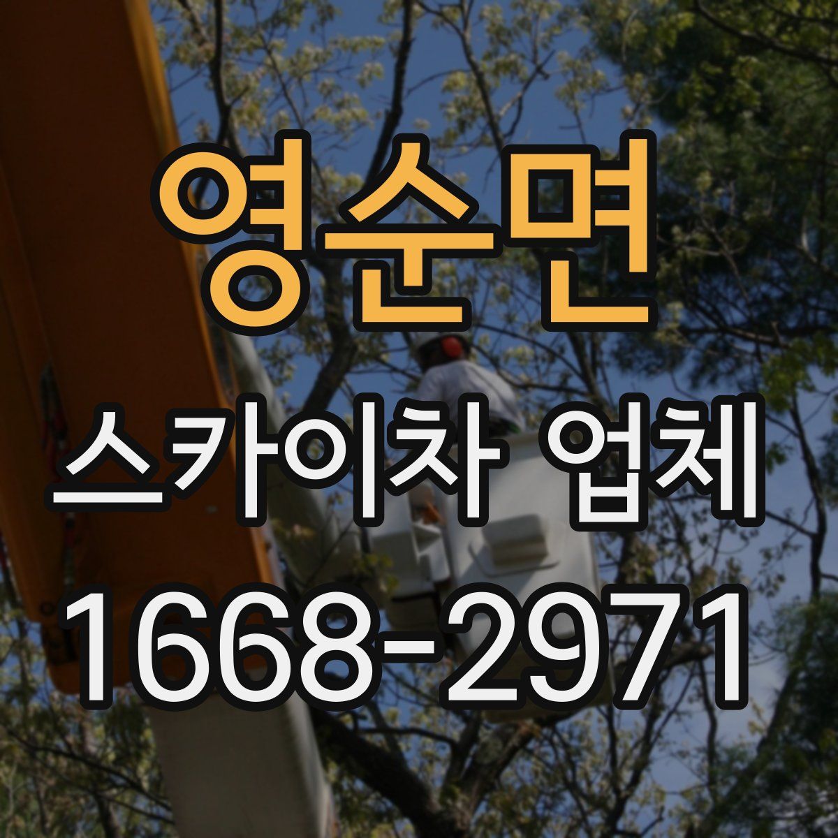 영순면 스카이차 업체