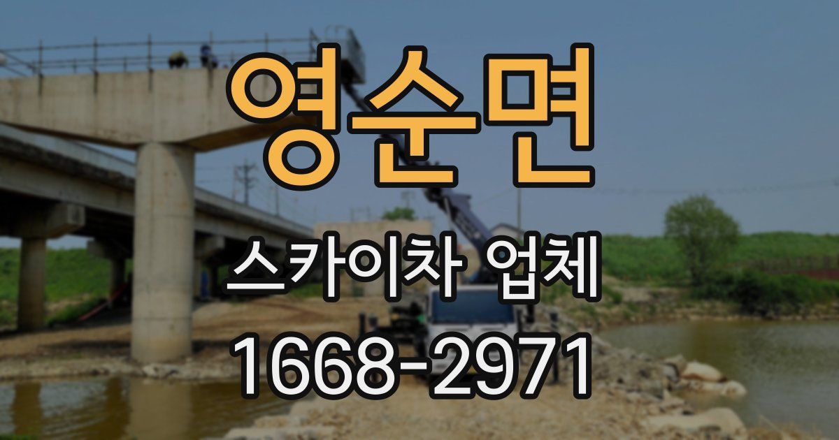 영순면 스카이차 업체