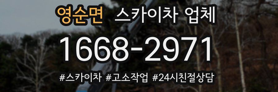 영순면 스카이차 업체