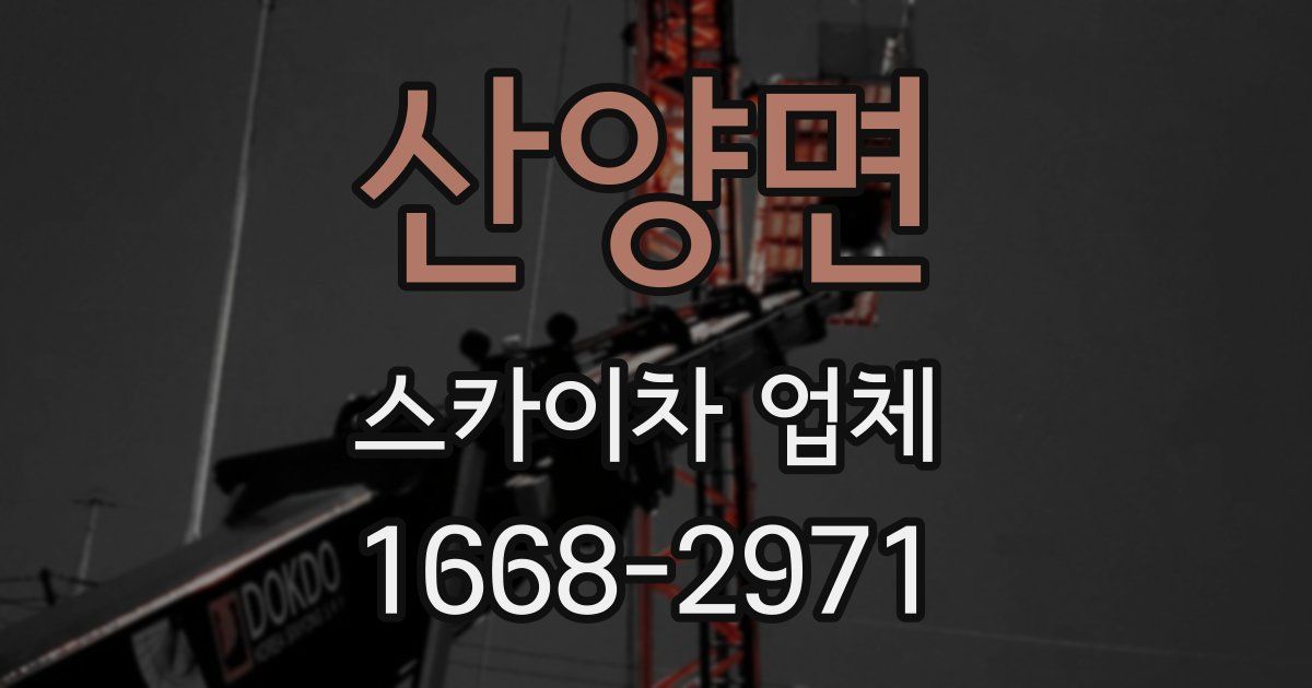 산양면 스카이차 업체