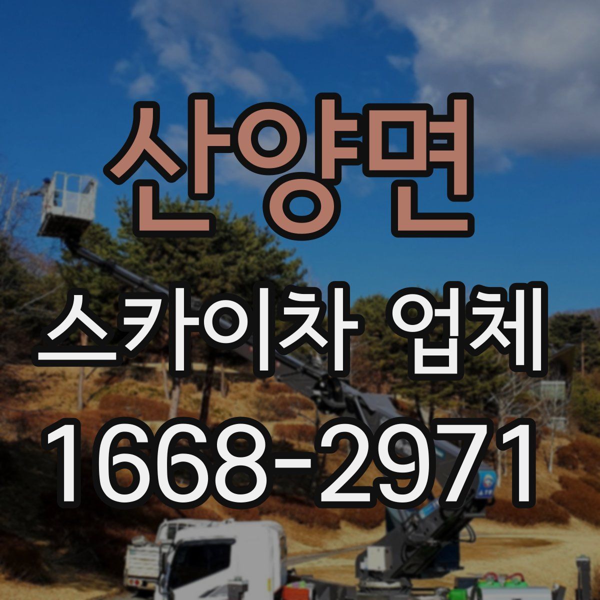 산양면 스카이차 업체