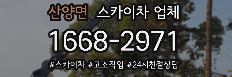 산양면 스카이차 업체