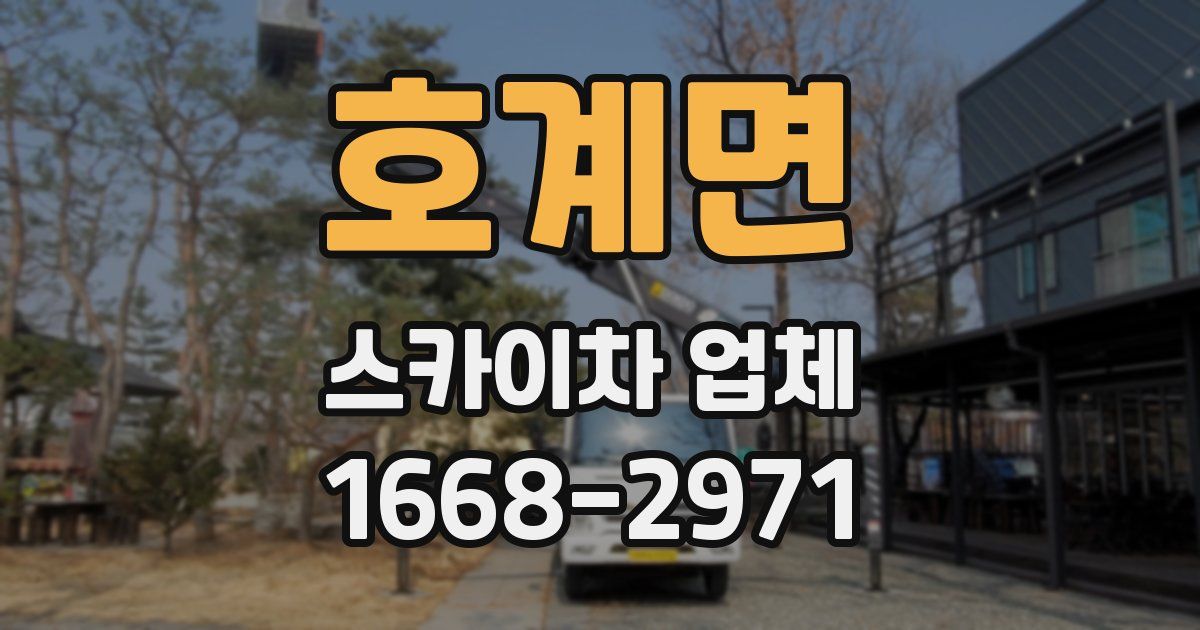 호계면 스카이차 업체